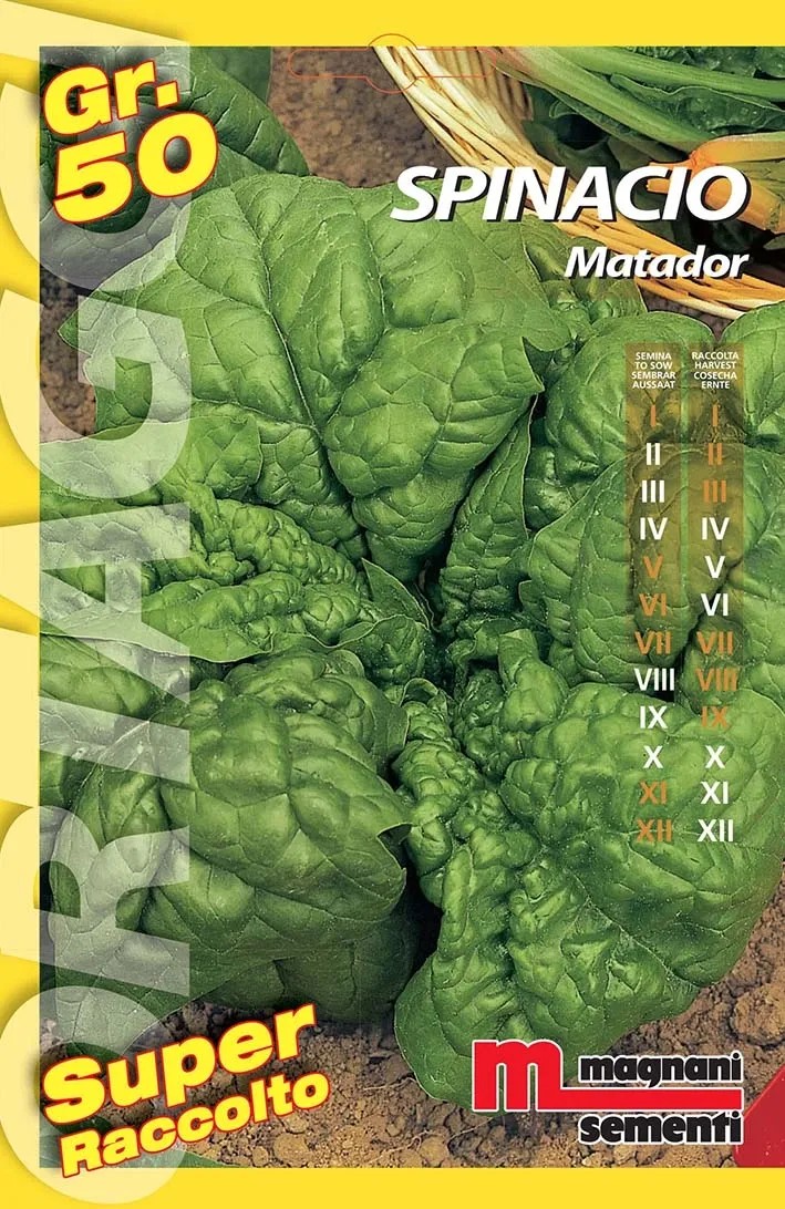Semi orto big Spinacio matador 50 g Semi orto big Spinacio matador 50 g