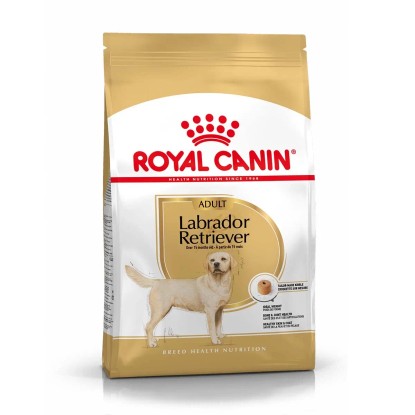 Cibo per cani Labrador Adult Royal Canin oltre 15 mesi di età 12 kg Cibo per cani Labrador Adult Royal Canin oltre 15 mesi di età 12 kg