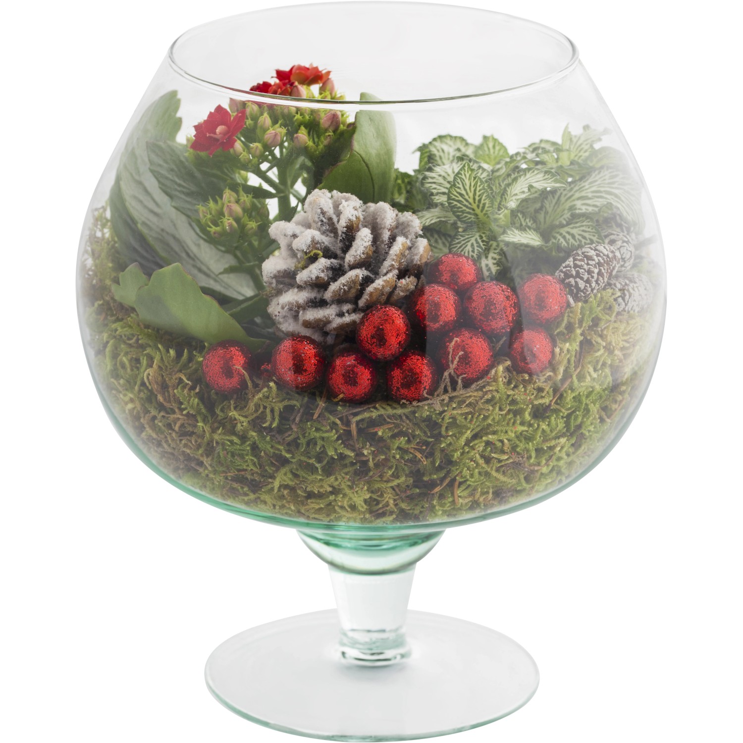 Composizione rossa in bicchiere di vetro Ø cm 17 Composizione rossa in bicchiere di vetro Ø cm 17