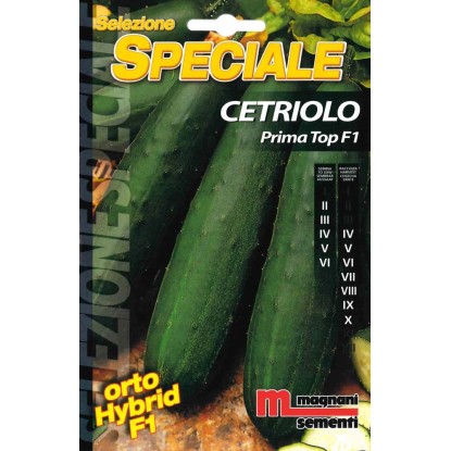Cetriolo prima top Cetriolo prima top