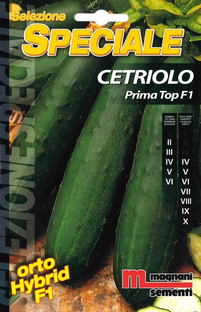 Cetriolo prima top Cetriolo prima top