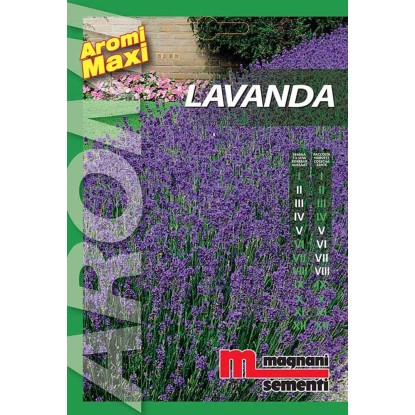 Semi aromi Lavanda Semi aromi Lavanda