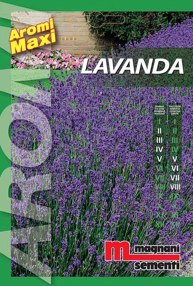 Semi aromi Lavanda Semi aromi Lavanda