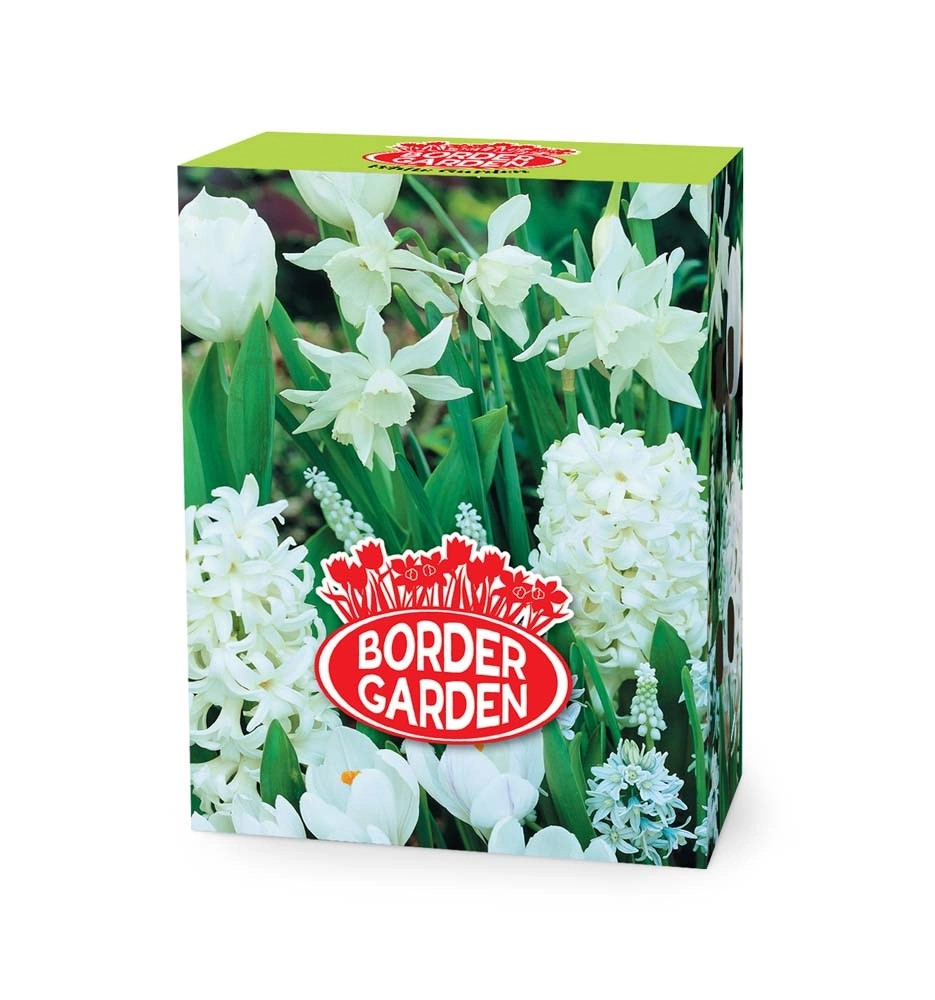 Bulbi Border Garden 40 pz Bulbi Border Garden 40 pz