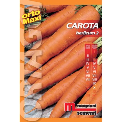 Semi orto maxi Carota berlicum Semi orto maxi Carota berlicum