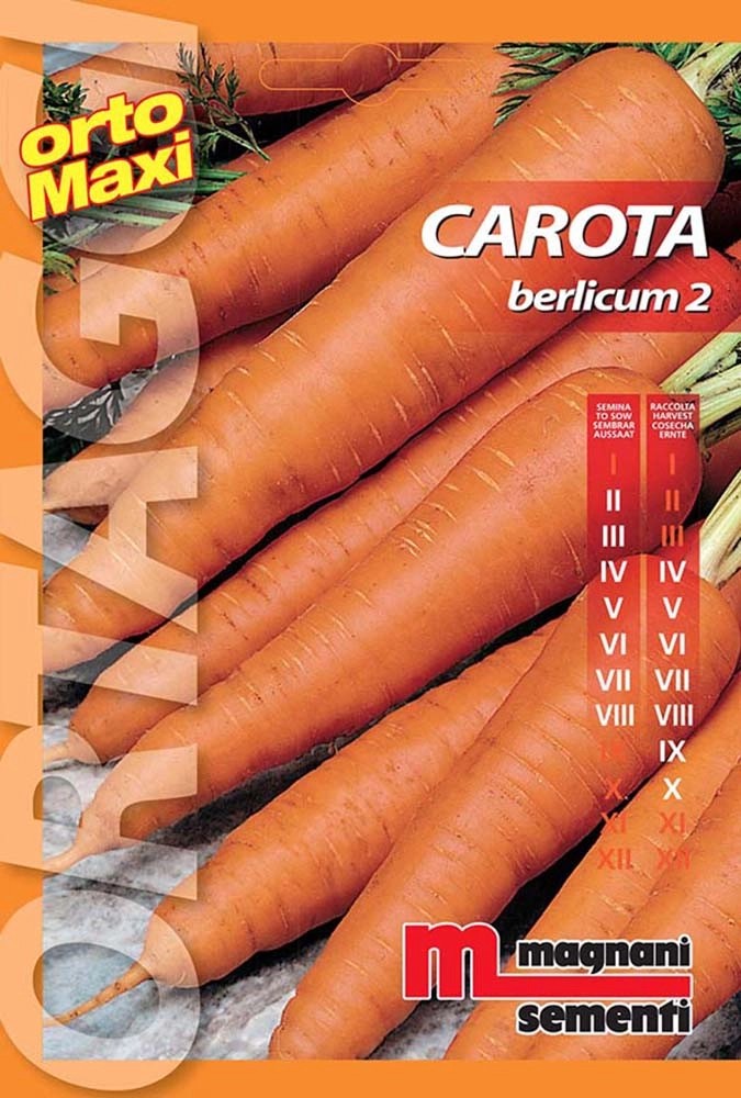 Semi orto maxi Carota berlicum Semi orto maxi Carota berlicum
