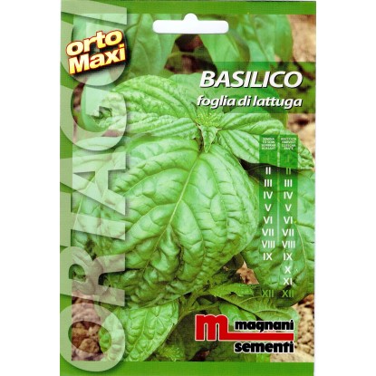 Semi aromi Basilico foglia Semi aromi Basilico foglia