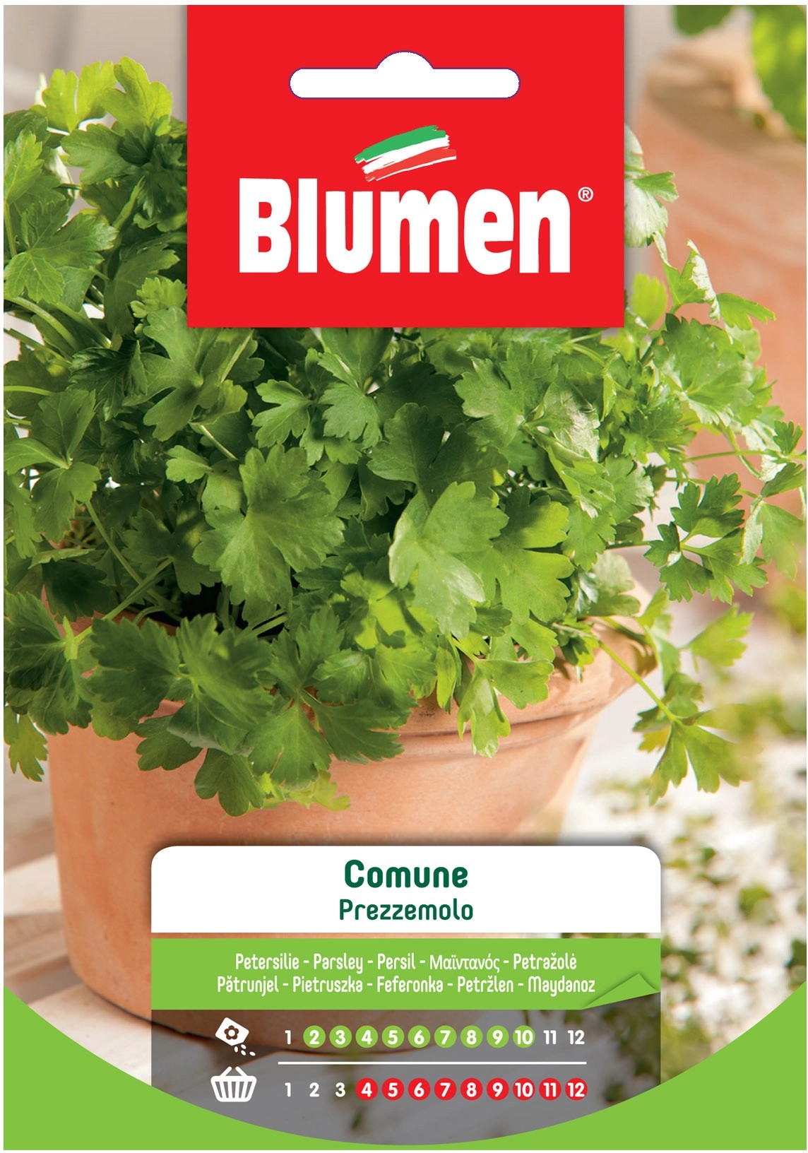 Semi Blumen Prezzemolo comune 20 g Semi Blumen Prezzemolo comune 20 g