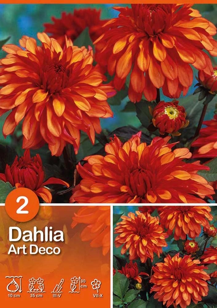 Dalia "Art Deco " Dalia "Art Deco "