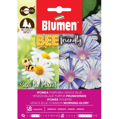 Semi Bee Friendly Ipomea Purpurea Blue Semi Bee Friendly Ipomea Purpurea Blue