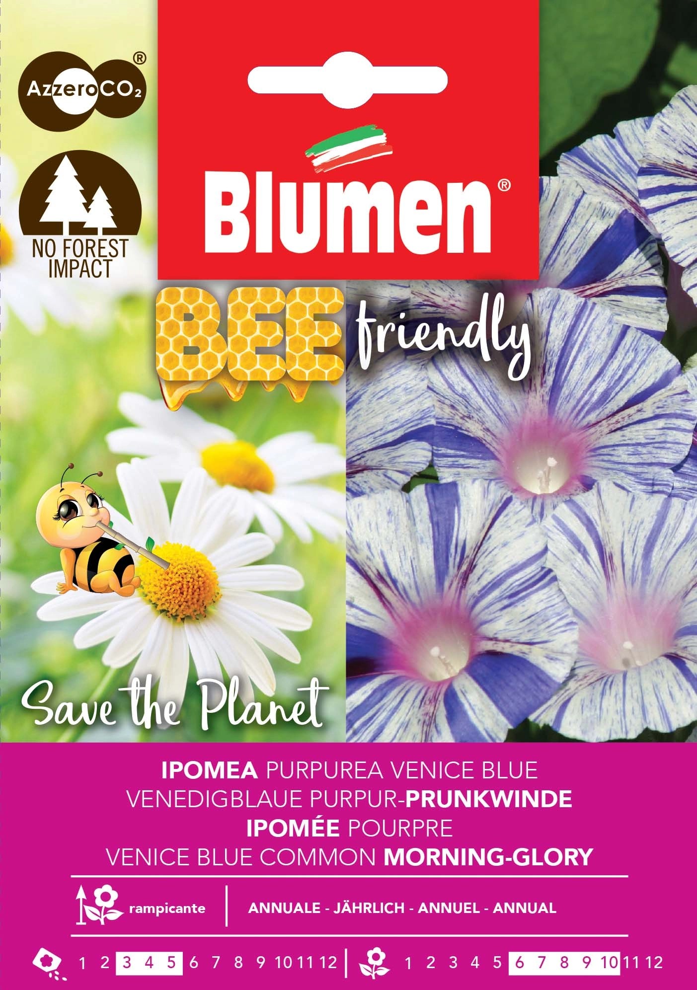 Semi Bee Friendly Ipomea Purpurea Blue Semi Bee Friendly Ipomea Purpurea Blue