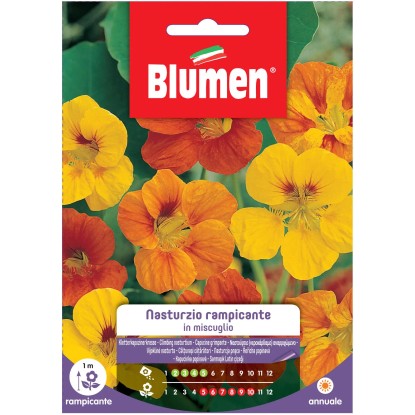 Blumen Nasturzio rampicante in miscuglio Blumen Nasturzio rampicante in miscuglio