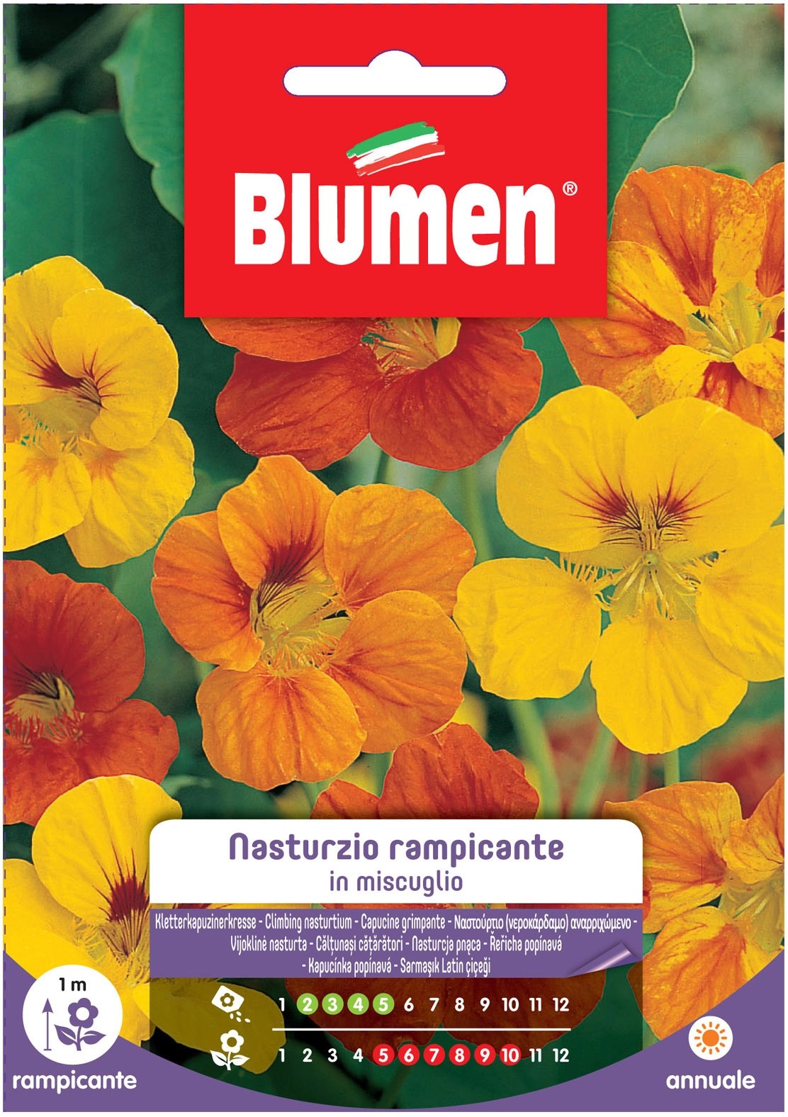 Blumen Nasturzio rampicante in miscuglio Blumen Nasturzio rampicante in miscuglio