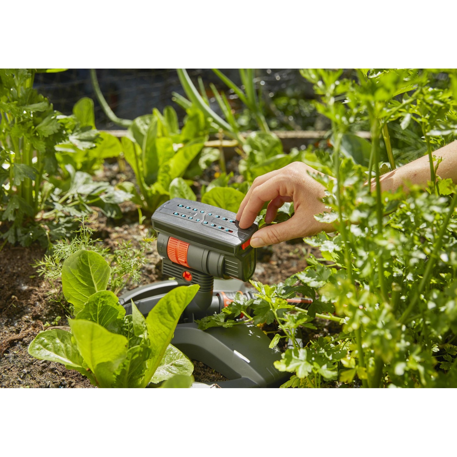 Irrigatore oscillante Gardena AquaZoom compact superficie regolabile 9-216 m² Irrigatore oscillante Gardena AquaZoom compact superficie regolabile 9-216 m²