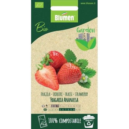 Semi Fragola Ananassa Semi Fragola Ananassa