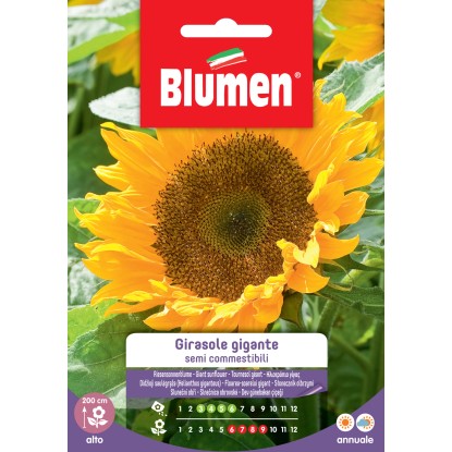 Blumen girasole gigante semi commestibili Blumen girasole gigante semi commestibili