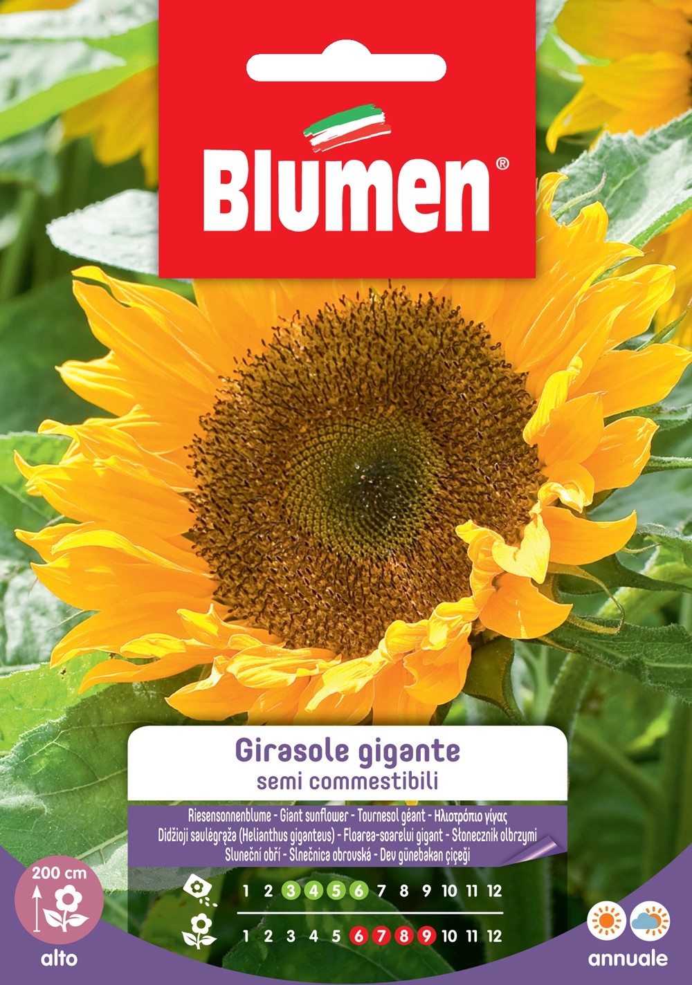 Blumen girasole gigante semi commestibili Blumen girasole gigante semi commestibili