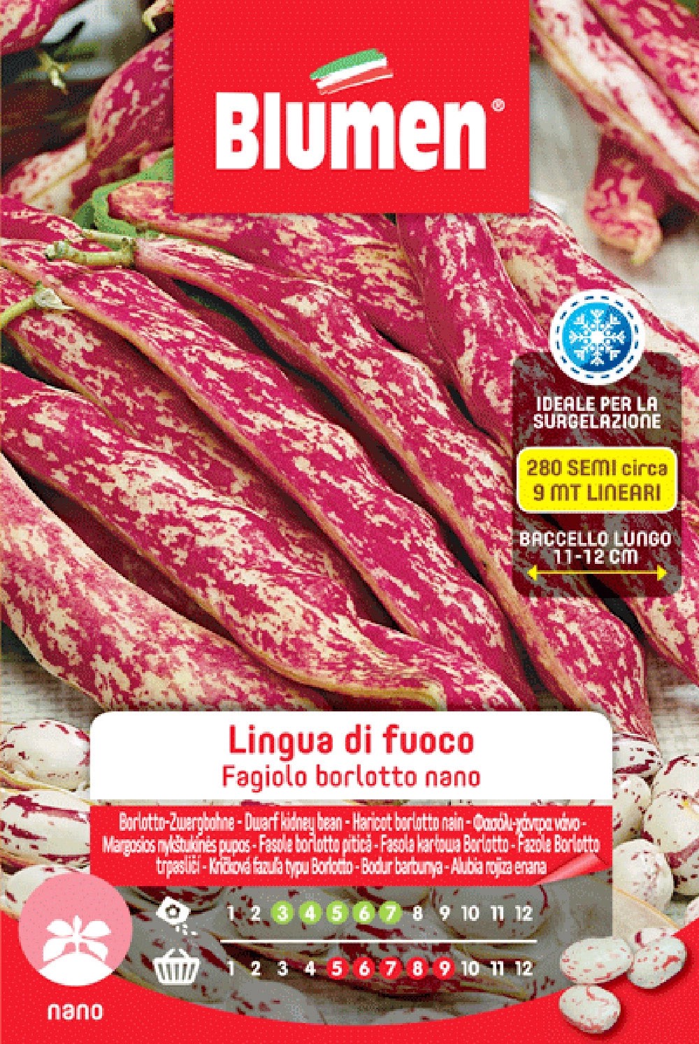 Semi Blumen Fagioli borlotti nani Lingua di fuoco 250 g Semi Blumen Fagioli borlotti nani Lingua di fuoco 250 g