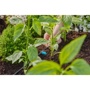 Primo piano: Microirrigazione t.b.t. installato su una pianta in giardino.