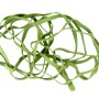 Oggetto astratto di corda verde, adatto come decorazione o per lavori di bricolage.