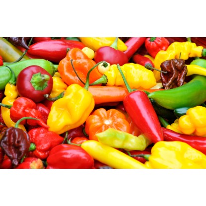 Peperoncino piccante Mechico vaso 14 cm