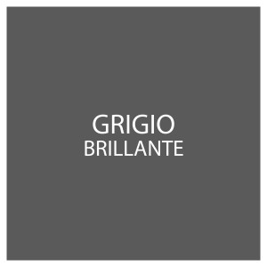 Campione colore: Vernice spray speciale grigio lucido.