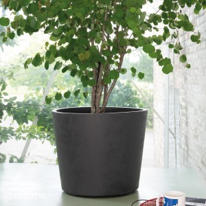 Vaso per piante Deroma Millennium antracite con rotelle, diametro 59 cm.