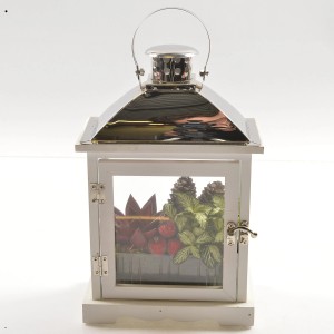 Lanterna decorativa con composizione di piante per interni.