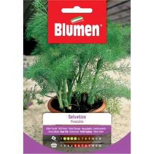 Confezione di semi di finocchio selvatico 'Selvatico' di Blumen, erba aromatica.