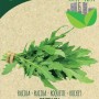 Sementi di rucola 'Coltivata' di Blumen, semina biologica per erbe aromatiche.