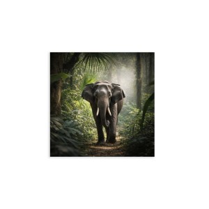 Canvas 30x30 cm set animali - elefante