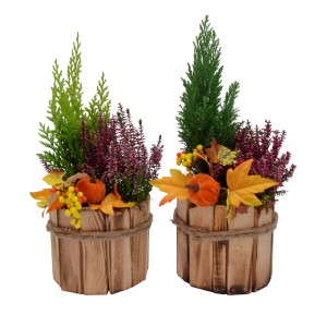 Due composizioni di piante autunnali in vaso di legno con zucche e foglie.