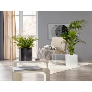 Vaso per piante Scheurich 828 Panna, Ø 33cm, in un ambiente living moderno con piante.