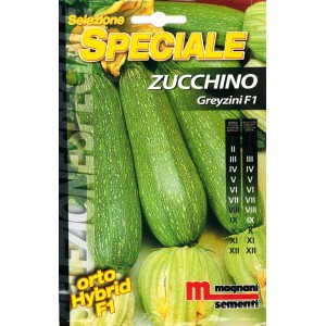 Confezione di semi di zucchine 'Greyzini F1' per la coltivazione di ortaggi in giardino.