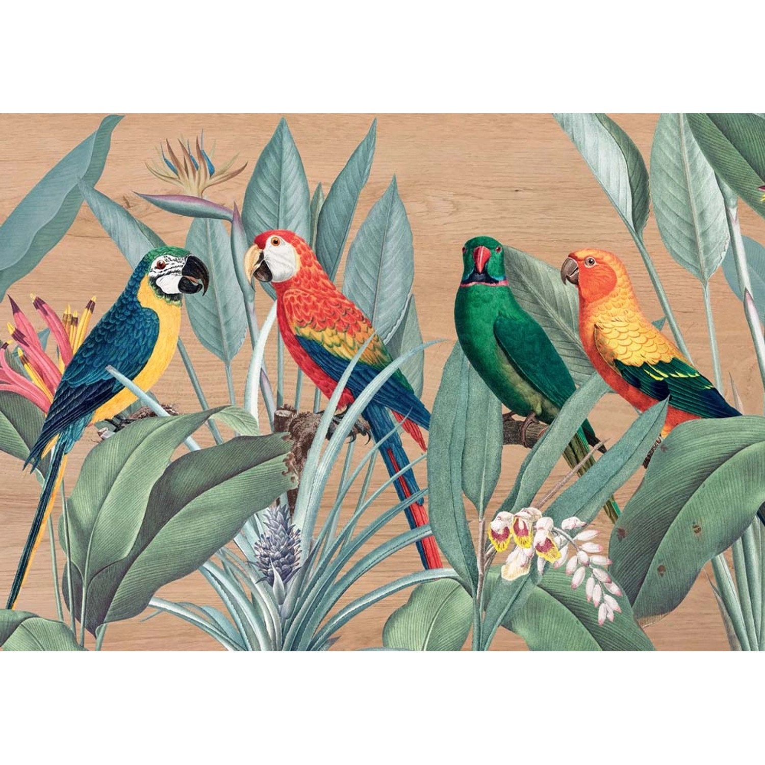 Quadri: Immagine di quattro pappagalli colorati nella giungla.