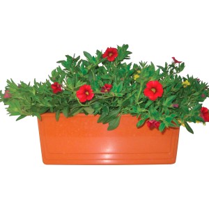 t.b.t. pianta da balcone con fiori rossi in fioriera arancione.