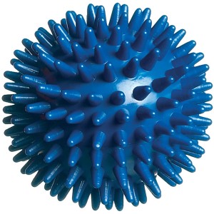 Palla blu con spuntoni per cuccioli, un giocattolo resistente per cani giovani.