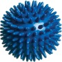 Palla blu con spuntoni per cuccioli, un giocattolo resistente per cani giovani.