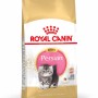 Royal Canin Persian Kitten cibo secco per gatti persiani, confezione dorata.