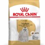 Royal Canin Maltese Adult cibo secco per cani Maltese da 10 mesi in sacco da 1,5 kg.