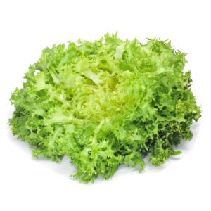Insalata di indivia fresca e verde (Ortaggio da foglia).
