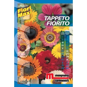 Confezione di semi per mix di fiori, ideale per un tappeto fiorito colorato.