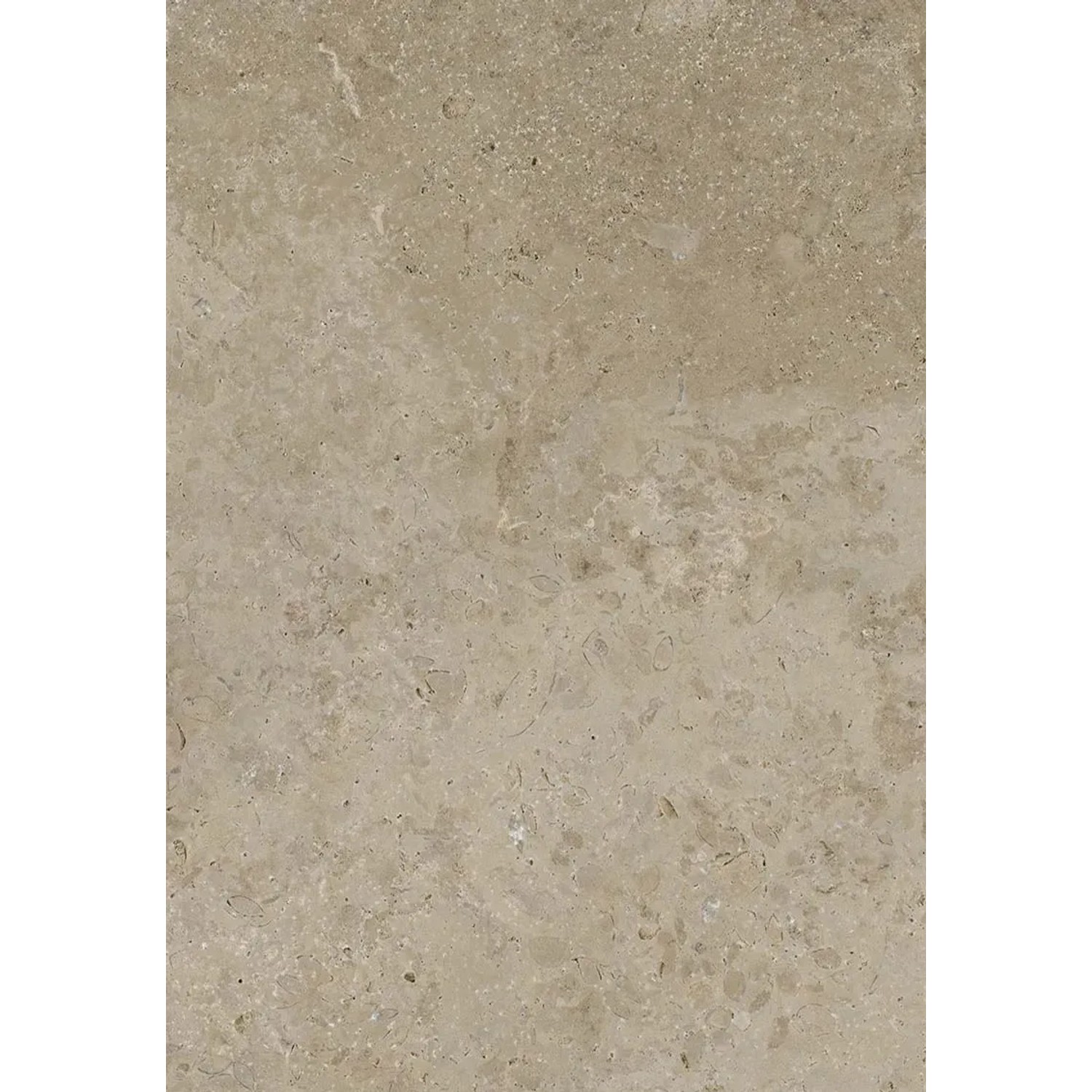Primo piano di una piastrella per pavimenti esterni t.b.t. beige.