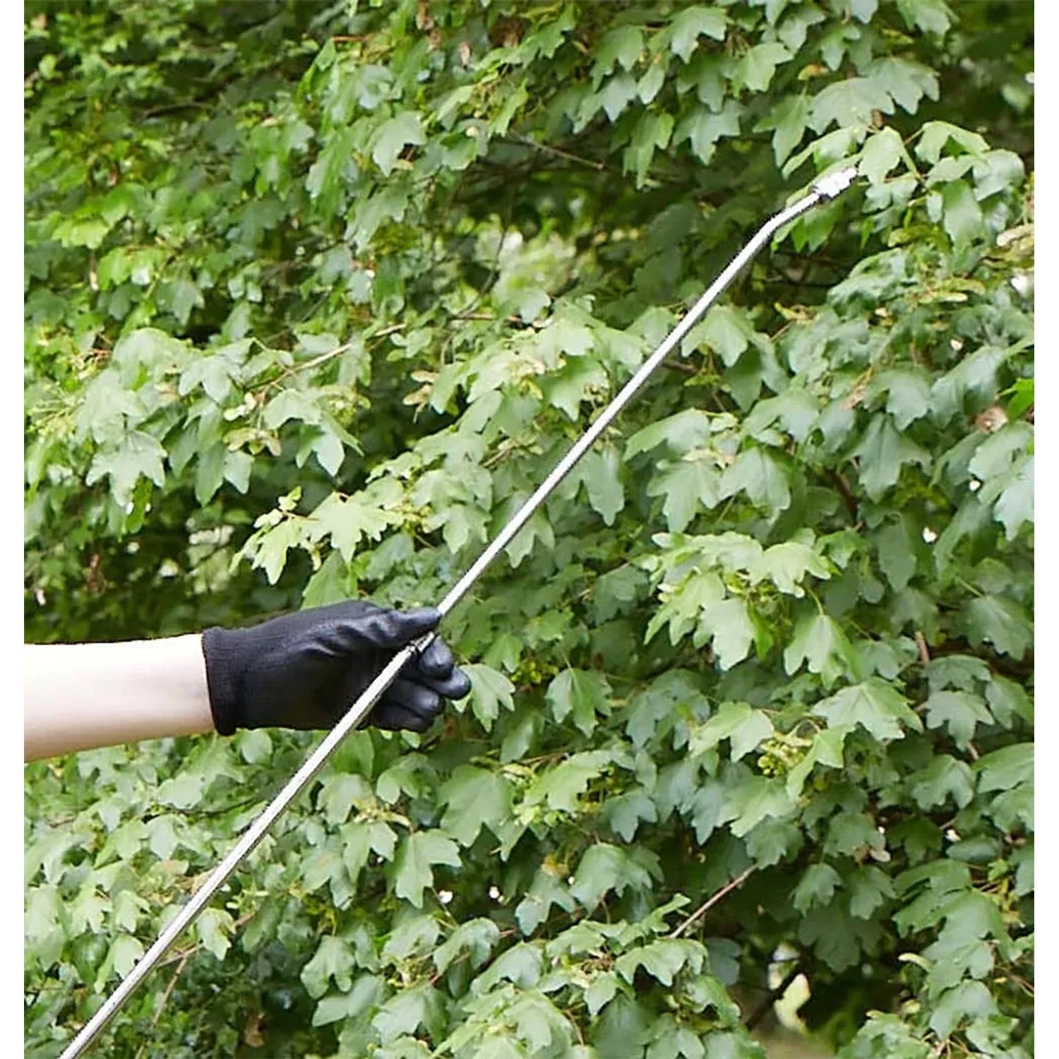 Spruzzatore a pressione in uso: mano con guanto aziona la lancia irroratrice davanti al fogliame verde.