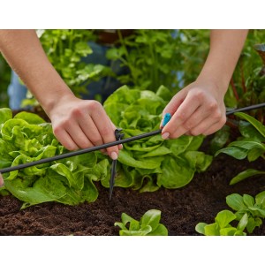 Sistema di microirrigazione t.b.t. in uso in giardino.