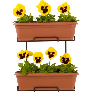 Doppia balconetta per fiori con viole del pensiero gialle su telaio in metallo nero.