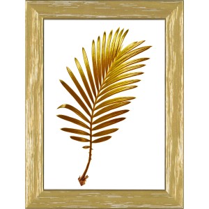 Palma dorata in cornice. Decorazione murale. Cornici.