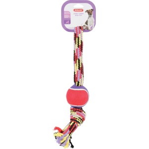Gioco per cani: Corda colorata con pallina da tennis.