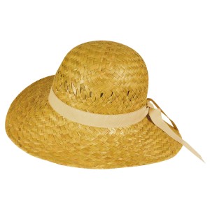 Cappello di paglia con nastro, parte della categoria abbigliamento da giardinaggio.