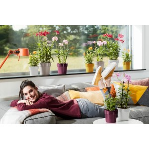Donna si rilassa con vasi da fiori Elho B.for Original in ocra e altri colori sul divano.